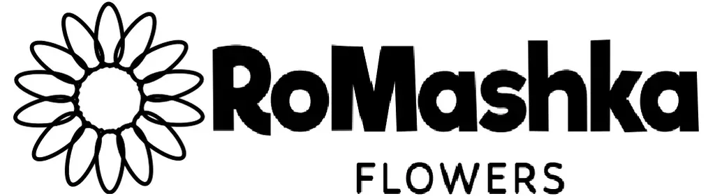 Romashka flowers