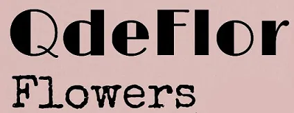 QdeFlor